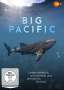 Big Pacific, DVD