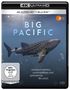 Craig Meade: Big Pacific (Ultra HD Blu-ray & Blu-ray), UHD,BR
