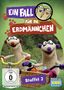 Ein Fall für die Erdmännchen Staffel 2, DVD, DVD