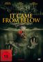 Dan Allen: It came from below, DVD