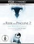 Luc Jacquet: Die Reise der Pinguine 2 - Der Weg des Lebens (Ultra HD Blu-ray & Blu-ray), UHD,BR