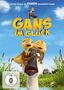 Gans im Glück, DVD