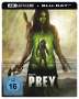 Prey (2022) (Ultra HD Blu-ray & Blu-ray im Steelbook), 1 Ultra HD Blu-ray und 1 Blu-ray Disc