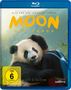 Gilles de Maistre: Moon, der Panda (Blu-ray), BR