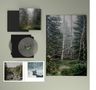 Gidge: Autumn Bells (10 Year Anniversary Box Set Edition), LP,LP,LP