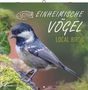 Einheimische Vögel 2026 - Broschürenkalender 30x30 cm (30x60 geöffnet) - Kalender mit Platz für Notizen - Birds - Bildkalender - Wandkalender - Vogelkalender, KAL