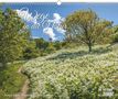 Wege in die Natur 2026 - Wandkalender 52 x 42,5 cm - Spiralbindung, KAL