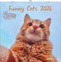 : Funny Cats 2026 - Broschürenkalender 30x30 cm (30x60 geöffnet) - Kalender mit Platz für Notizen - Katzen - Bildkalender - Wandplaner - Katzenkalender, KAL