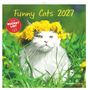 "Funny Cats 2027" in gelber Schrift. Eine weiße Katze mit einem Kranz aus gelben Blumen im Gras.