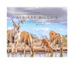 Hautnah - Afrikas Wildnis 2027, Kalender, Kalender
