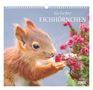 Text: "Geliebte Eichhörnchen" oben, "Tine Meier" unten. Ein Eichhörnchen hält rosarote Blüten.