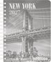 „NEW YORK 2027“ in Großbuchstaben über einer ikonischen Brücke. Im Vordergrund entspannen Menschen auf einer Wiese., Buch