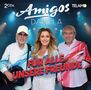 Amigos & Daniela Alfinito: Für alle unsere Freunde, 2 CDs
