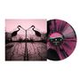 Schallplatte und Cover: "The Afghan Whigs". Gate mit Kranich-Silhouetten, rosa Himmel. Vinyl in Schwarz-Pink., LP