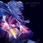 : Pop Ambient 2020 (+Artbook), LP,LP