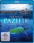 Michael Watchulonis: Der wilde Pazifik - Die Schönheit des Lebens (Blu-ray), BR