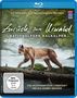 Zurück zum Urwald - Nationalpark Kalkalpen (Blu-ray), Blu-ray Disc