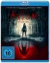 Nicholas Woods: The Axiom (Blu-ray), BR