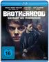 Antonia Bogdanovich: Brotherhood - Kreislauf des Verbrechens (Blu-ray), BR