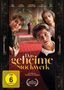 „Das geheime Stockwerk“, FSK ab 6, ein Film von Norbert Lechner. Drei Kinder schauen durch eine Tür, im Hintergrund ein Page., DVD