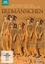 David MacDonald: Die lustigsten und aufregendsten Abenteuer der Erdmännchen, DVD,DVD