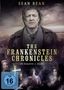 Alex Gabassi: The Frankenstein Chronicles Staffel 2, DVD,DVD