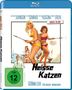 Ralph Thomas: Heisse Katzen (Blu-ray), BR