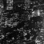 Timber Timbre: Sincerely, Future Pollution, CD