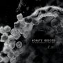 Tindersticks: Minute Bodies (180g) (Limited-Deluxe-Edition), LP,DVD
