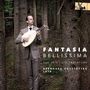 : Bernhard Hofstötter - Bellissima, CD