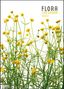 : Flora 2022 - Blumen-Kalender von DUMONT- Foto-Kunst - Poster-Format 49,5 x 68,5 cm, KAL