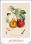 : Pierre Antoine Poiteau: Alte Obstsorten 2022 - DUMONT Kunst-Kalender - Poster-Format 49,5 x 68,5 cm, KAL