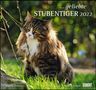 : ... geliebte Stubentiger 2022 - DuMont Wandkalender - mit den wichtigsten Feiertagen, KAL