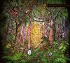 Oliver Koletzki: Fire In The Jungle, CD