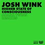 Josh Wink: Higher State Of Consciousness (Adana Twins Rmxs), MAX