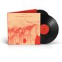 Monolink: The Beauty Of It All, 2 LPs