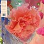 Conic Rose: Heller Tag, CD, CD