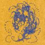 Surgeon: Shell~Wave, LP,LP