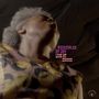 Principles Of Joy: Live At CXVIII, CD