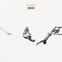 Text: "A Bunch Of BIRDS". Zwei Luftakrobaten in der Luft; einer schwingt, einer stößt sich ab. Retro-Stil., LP