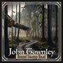"John Townley, Round Swamp Road." Illustration eines Walds mit Vogel und verschlungenem Pfad., LP