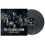 Text: „SCHATTENMANN Endgegner“. Fünf Personen, eine mit Maske, auf einem dunklen Hintergrund. Links ist ein Vinyl cover., LP
