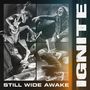 Text: "STILL WIDE AWAKE" und "IGNITE". Vier Bilder von energiegeladenen Musikern bei einem Auftritt.