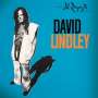 David Lindley: El Rayo-X (180g), LP