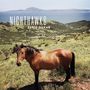 The Nighthawks (Blues): Paris-Dakar (LP), LP