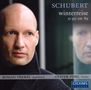 Franz Schubert (1797-1828): Winterreise D.911, CD