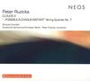 Peter Ruzicka (geb. 1948): Streichquartett Nr.7 "...Possible-A-Chaque-Instant", CD