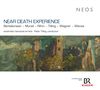 ensemble risonanze erranti - Near Death Experience, CD