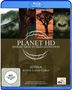 Mensch & Natur Alexander Sass : Planet HD - Unsere Erde in High Definition: Afrika (Blu-ray), BR