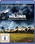 Mark Verkerk: Die neue Wildnis (Blu-ray), BR
